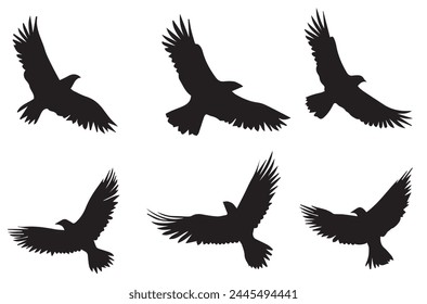Flying birds silhouettes Vector illustration white background