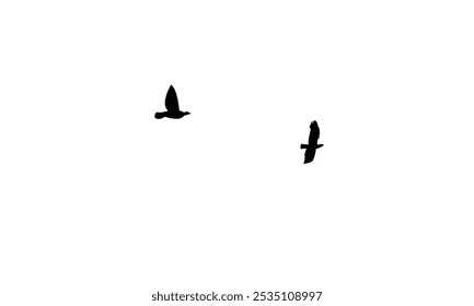Flying birds silhouettes And Vector illustration.