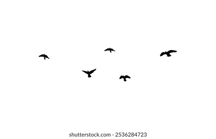 Flying birds silhouettes And Vector illustration.
