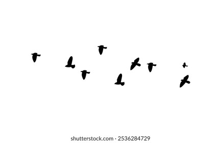 Flying birds silhouettes And Vector illustration.