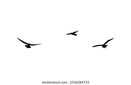 Flying birds silhouettes And Vector illustration.