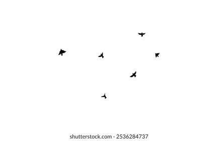 Flying birds silhouettes And Vector illustration.