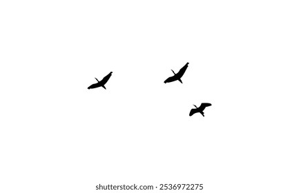 Flying birds silhouettes And Vector illustration.