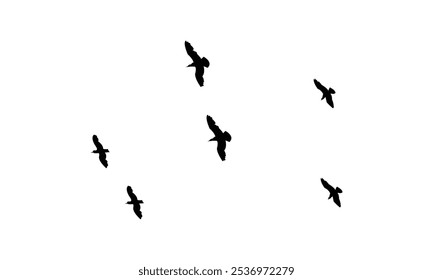 Siluetas de pájaros voladores y Ilustración vectorial.
