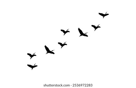 Silhuetas de aves voadoras e ilustração de vetor.