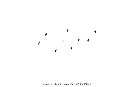 Flying birds silhouettes And Vector illustration.