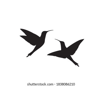 Flying birds silhouettes, vector. Two hummingbirds. Scandinavian minimalist art design. Birds illustration isolated on white background. Wall art, artwork, poster design. Freedom concept