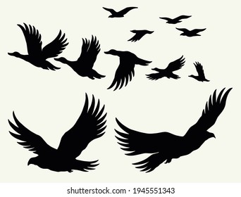 Flying birds silhouettes vintage concept with ducks eagles and seagulls isolated vector illustration