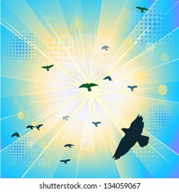 flying birds in the sky