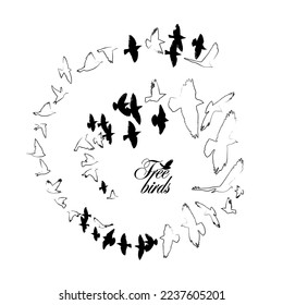 Aves volando en el cielo. Espiral del logo abstracto. Marco de pájaros. Ilustración del vector