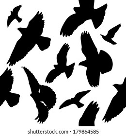 Flying birds in the sky. seamless background. Vector