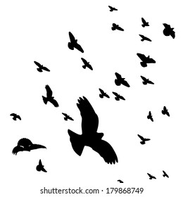 all the birds in the sky download free