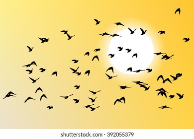 Flying birds in the sky. Vector