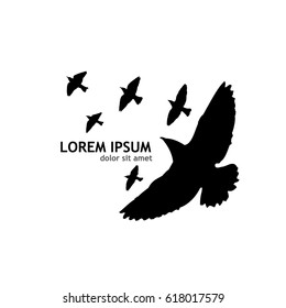 Flying birds in the sky. Vector