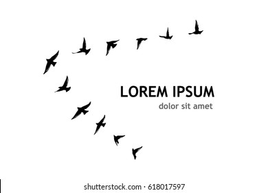 Flying birds in the sky. Vector