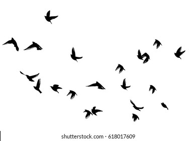 Летающие птицы в небе. Вектор