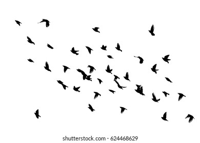 Flying Birds Sky Vector Stock Vector (Royalty Free) 624468629 ...