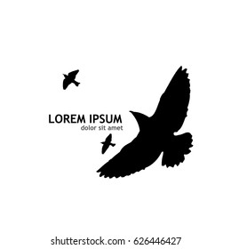 Flying birds in the sky. Vector