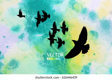 Flying birds in the sky. Vector