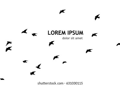 Flying birds in the sky. Vector