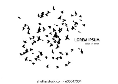 Flying birds in the sky. Vector