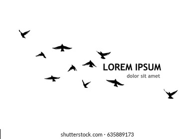 Flying birds in the sky. Vector