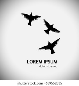 Flying birds in the sky. Vector