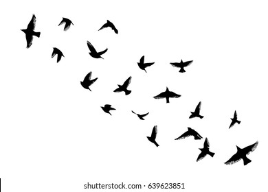 Flying Birds Sky Vector Stock Vector (Royalty Free) 639623851 ...