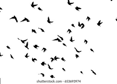 Flying Birds Sky Vector Stock Vector (Royalty Free) 653693974 ...