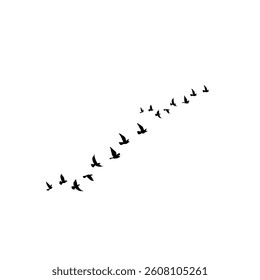 Flying birds soar gracefully through the sky, flapping wings with elegance, navigating air currents in search of food and freedom.