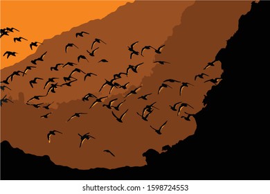 Flying birds. Sunset nature background. Vector image.