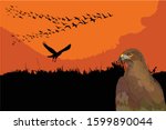 Flying birds. Sunset sky background. Vector images. 