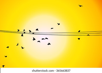 Flying birds at sunset. Vector