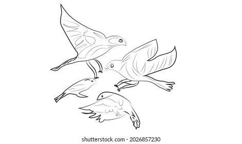 Flying birds with their child 