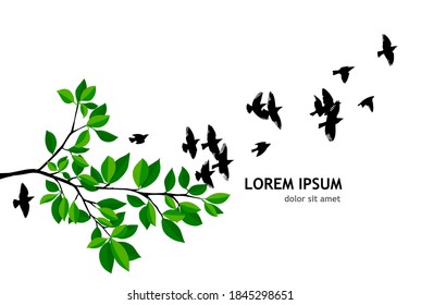 Flying birds from a tree branch. Vector illustration