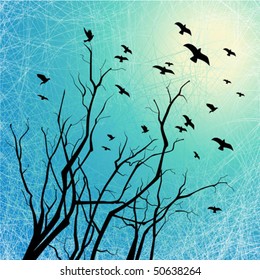 Flying birds and tree branches silhouettes on grunge background with scratch texture