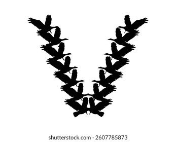 Flying Birds V Shape  Bird Silhouette Formation Vector