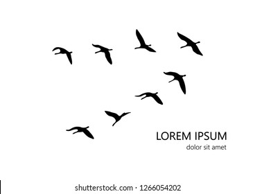 Flying Birds Vector