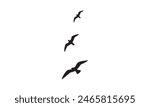 Flying Birds Vector And Illustration. 