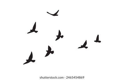 Flying Birds Vector And Illustration. 