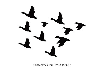 Vector E Ilustración De Aves Voladoras. 