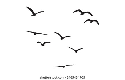 Flying Birds Vector And Illustration. 