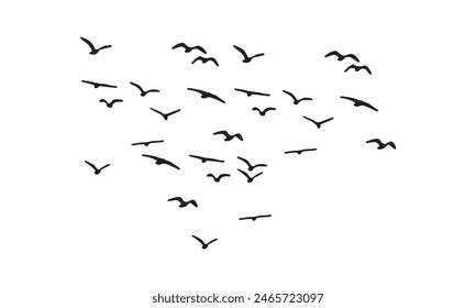 Flying Birds Vector And Illustration. 