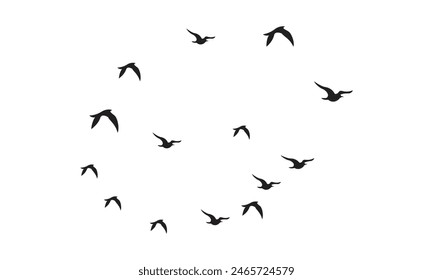 Flying Birds Vector And Illustration. 