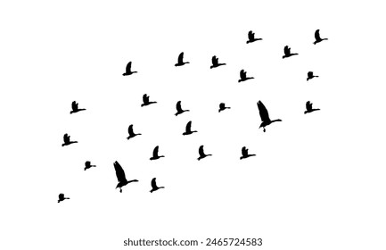 In: Flying Birds Vektorgrafik and Illustration. 