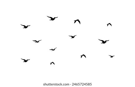 Vector E Ilustración De Aves Voladoras. 