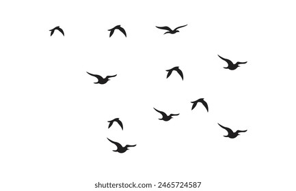 Flying Birds Vector And Illustration. 