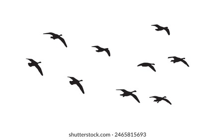 Flying Birds Vector And Illustration. 