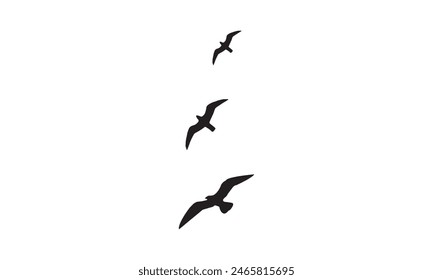 Flying Birds Vector And Illustration. 