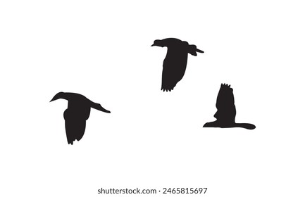 Flying Birds Vector And Illustration. 
